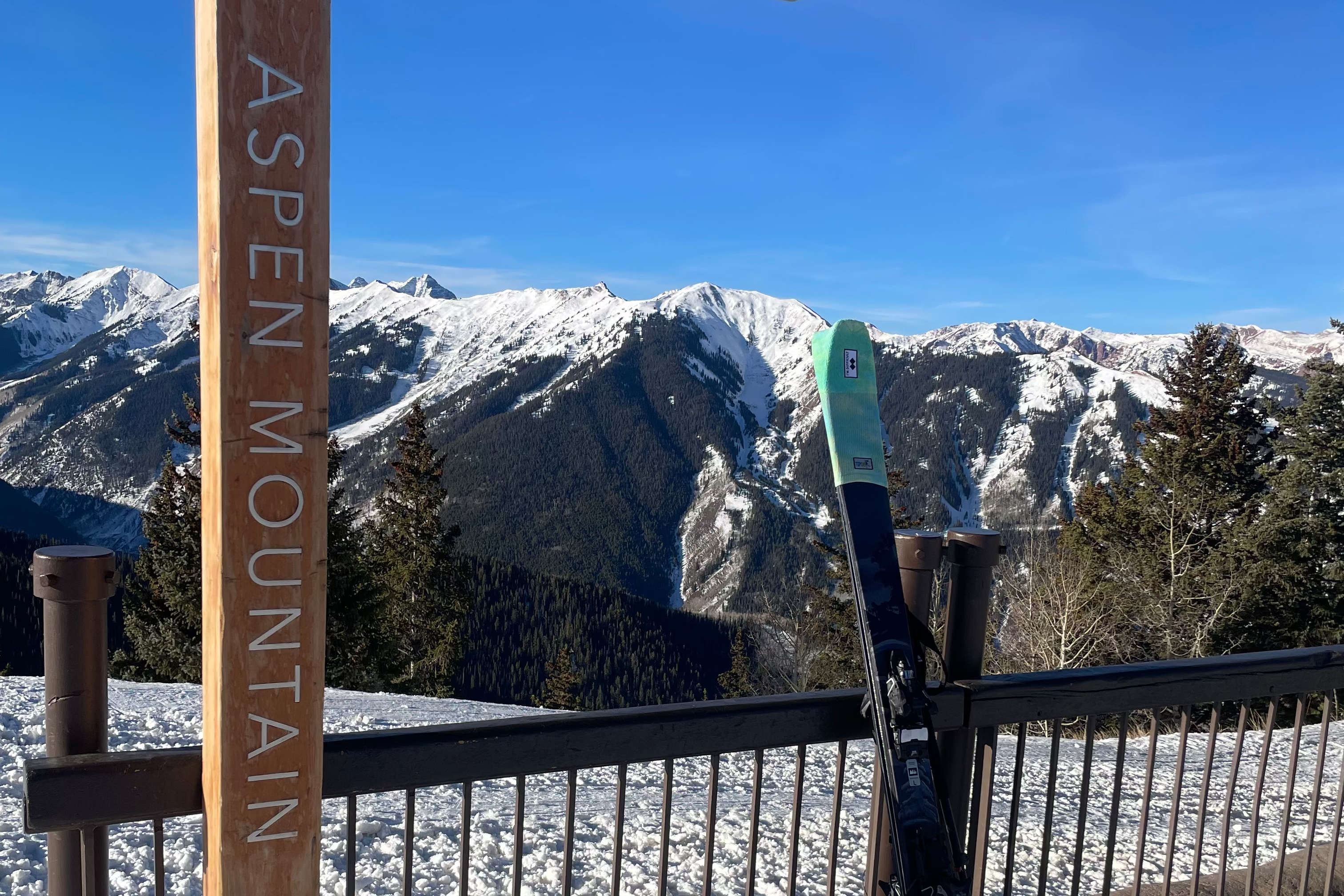 TipSox leaning against a fence with a view of Aspen mountains in he background